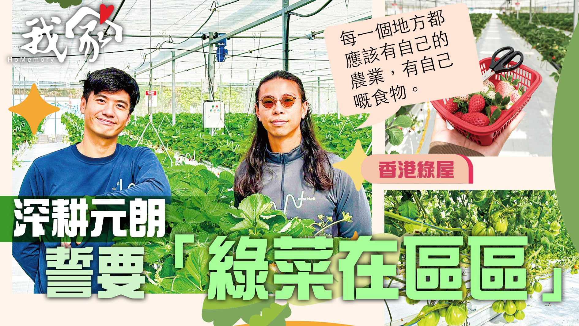 (屯門元朗)深耕元朗  誓要「綠菜在區區」